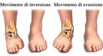 movimento di inversione della caviglia - movimento di eversione della caviglia